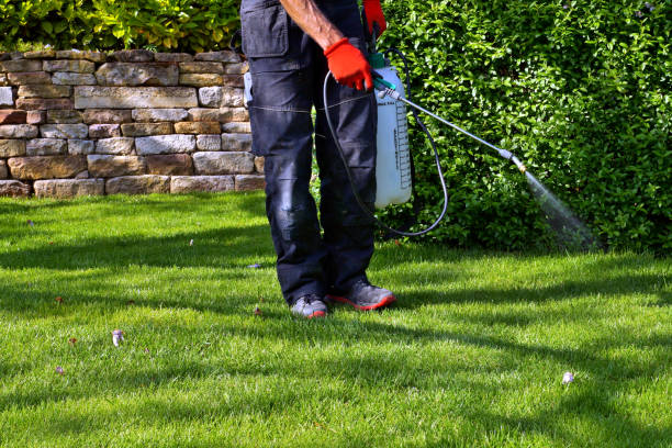 Best Lawn Pest Control  in West Bend, WI